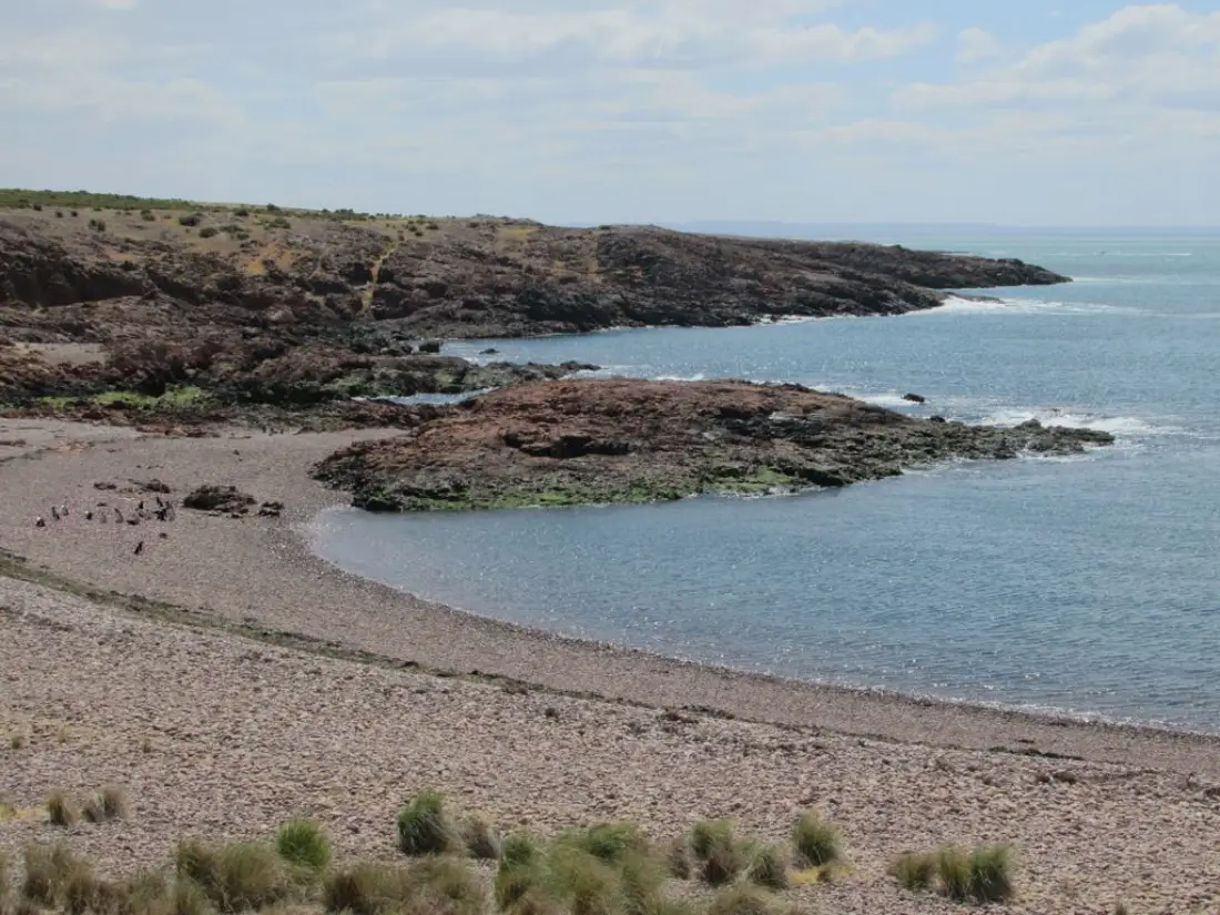 Una playa de canto rodado y roca en la reserva de Cabo Dos Bahías